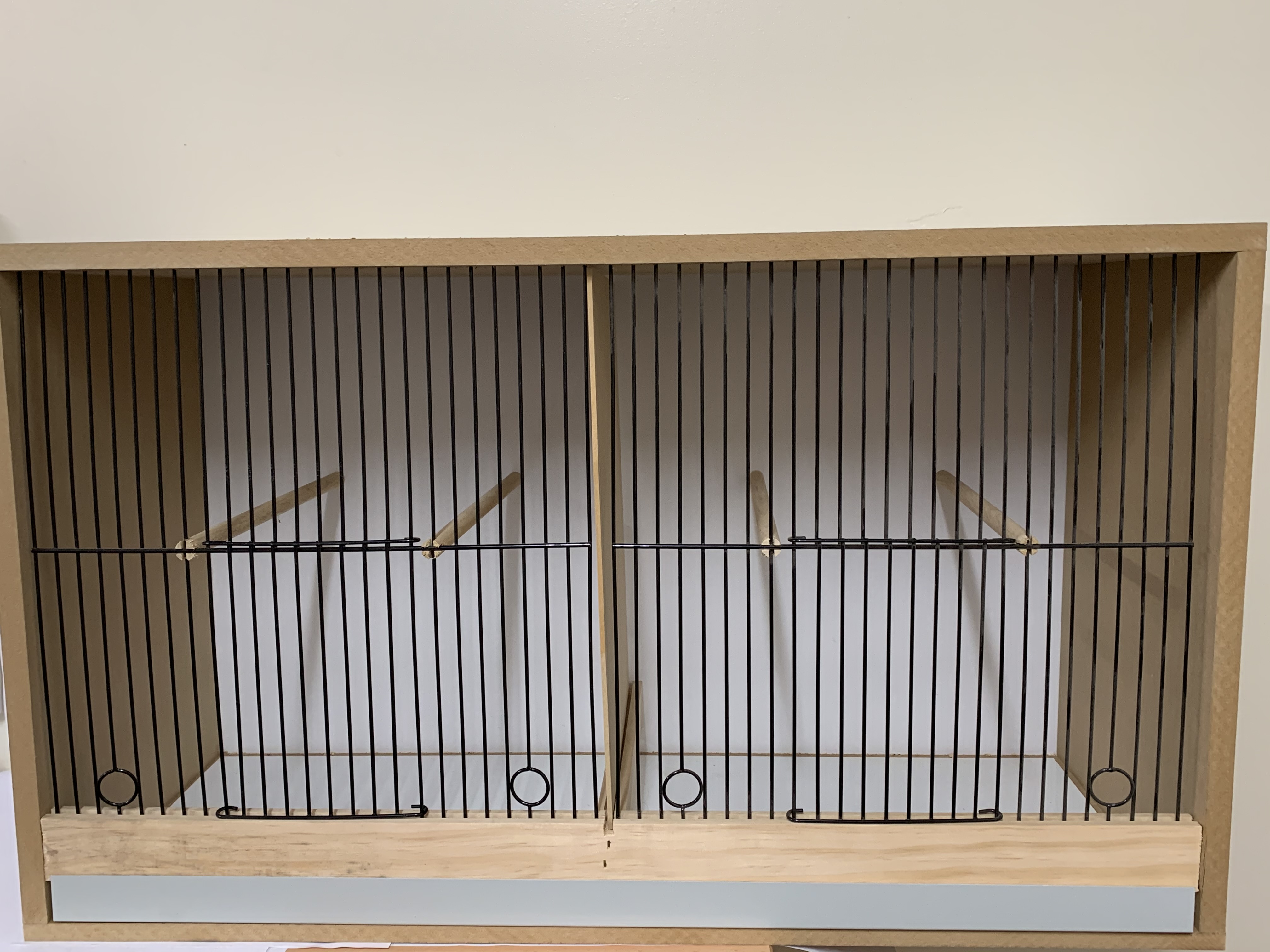 Canary double wooden cabinet breeding